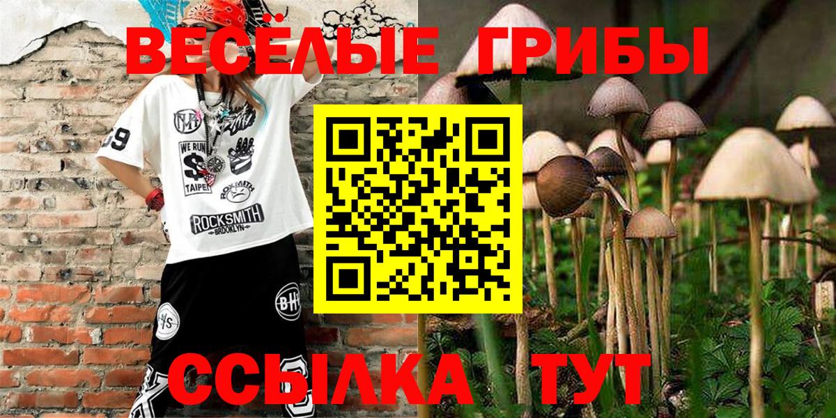 цены наркотик  Галлюциногенные грибы Magic Shrooms  Вход с VPN  Зеленодольск 