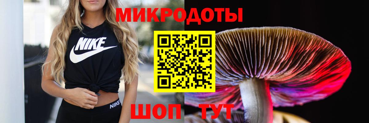 Галлюциногенные грибы Cubensis Зеленодольск